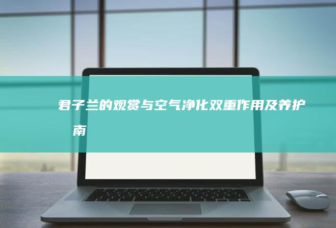 君子兰的观赏与空气净化双重作用及养护指南